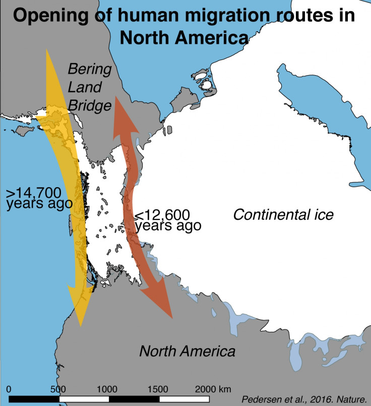 migration Americas