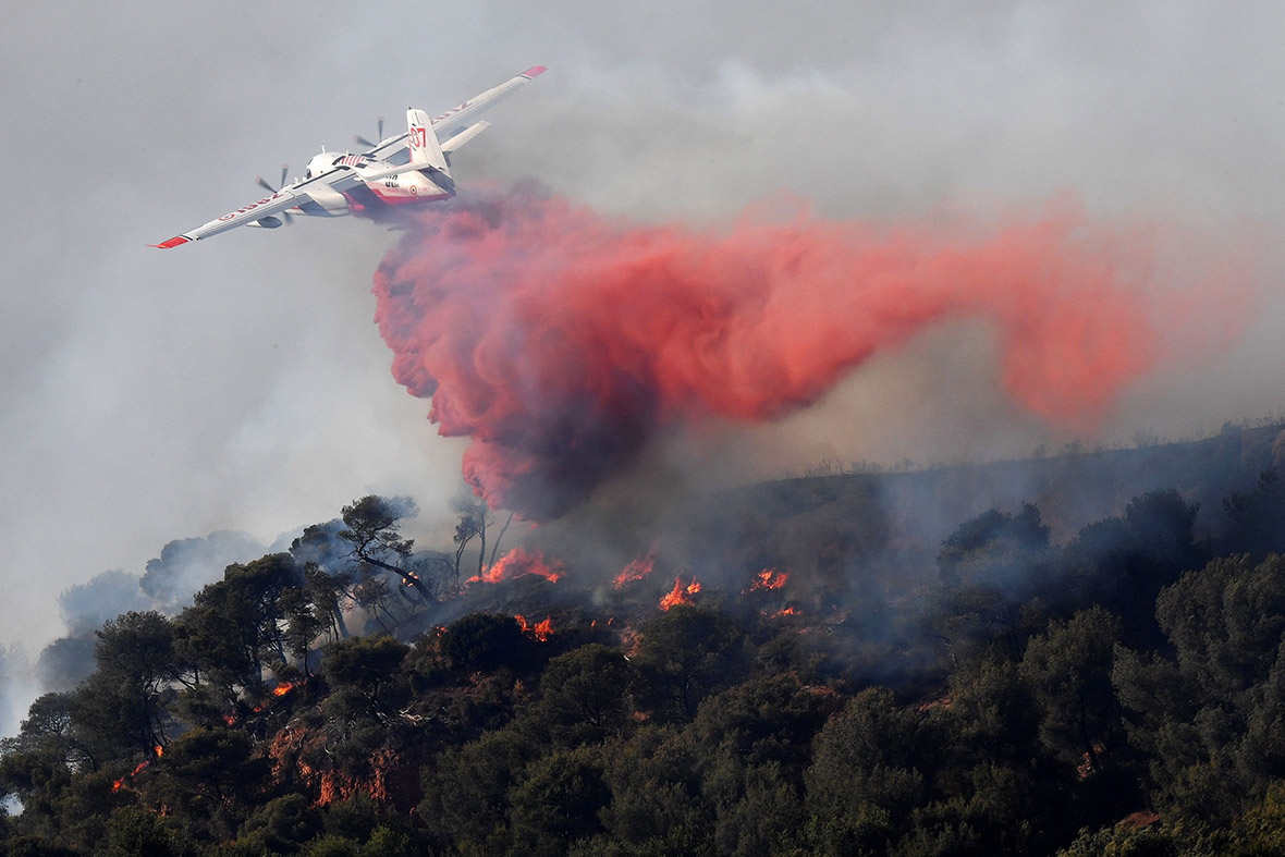 France forest fires Firefighters injured and thousands evacuated from