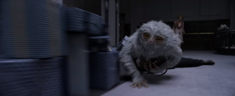 Demiguise in Fantastic Beasts