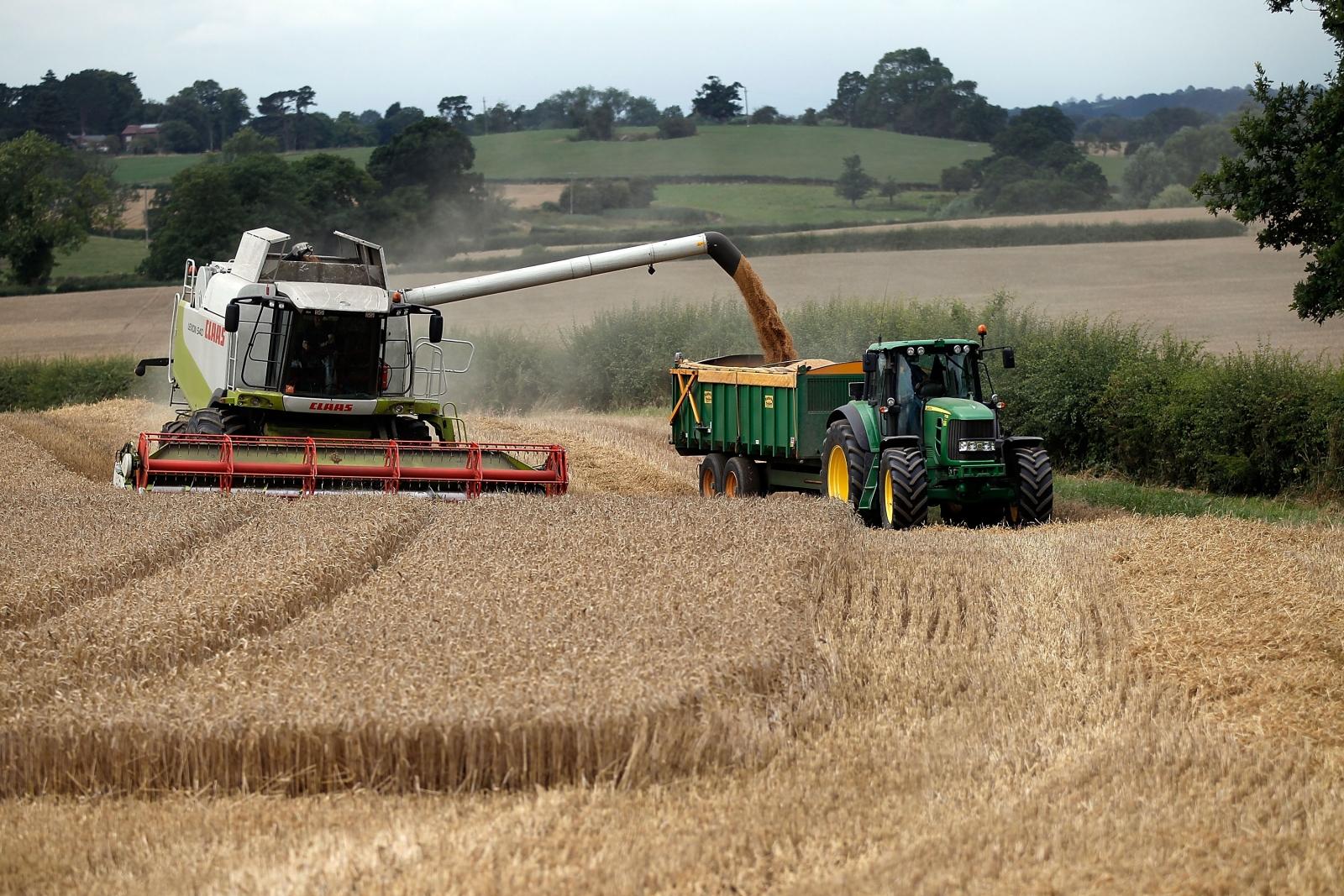 UK Farmland: Demand falls sharply amid Brexit uncertainty and low commodity prices, RICS/RAU report suggests UK Farmland: Demand falls sharply amid Brexit uncertainty and low commodity prices, RICS/RAU report suggests