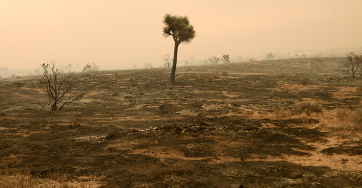 California fire wildfires