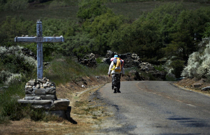 A pilgrim walks toward Santiago de Compostela