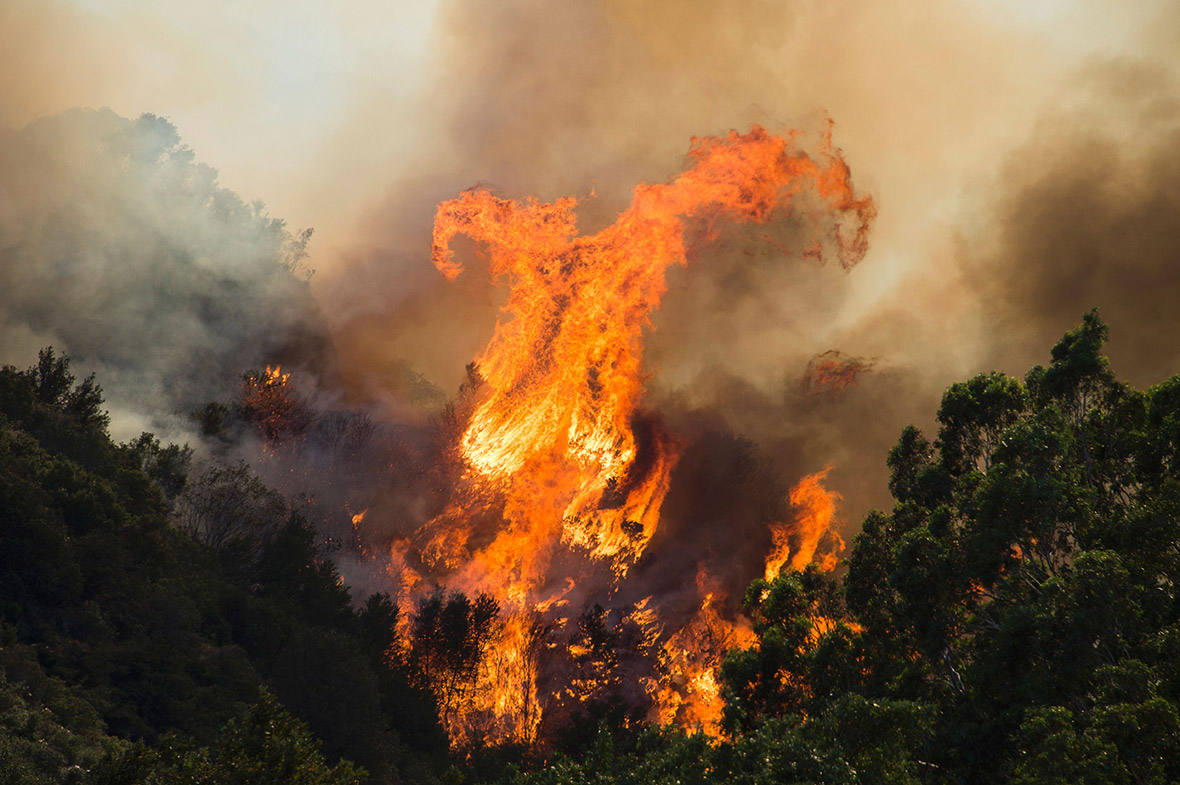 California Fire Wildfires Bluecut ?w=400