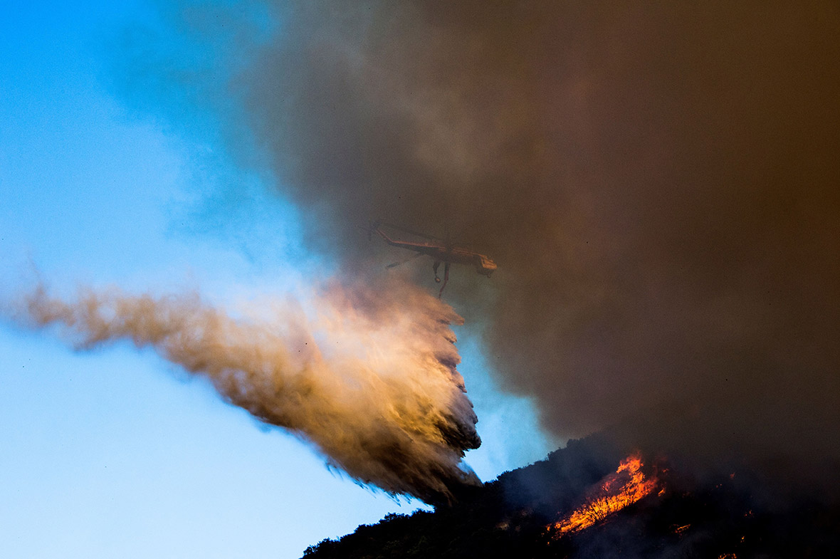 California fire wildfires bluecut