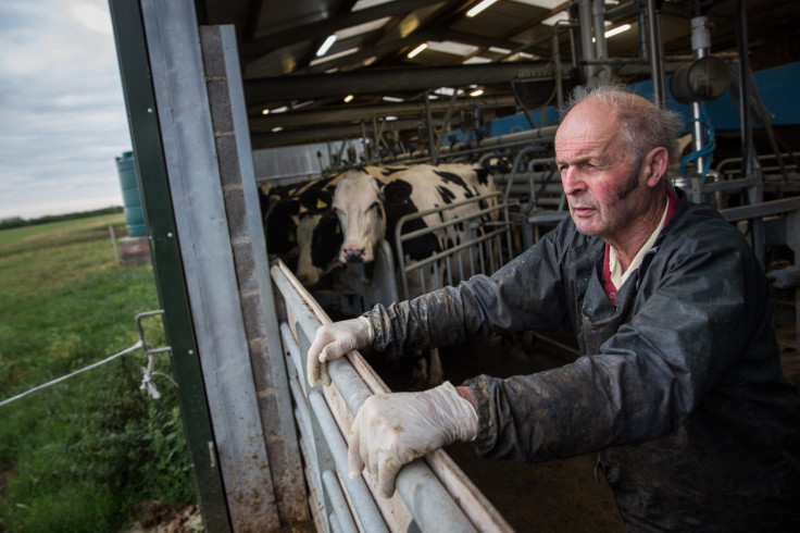 UK farmer