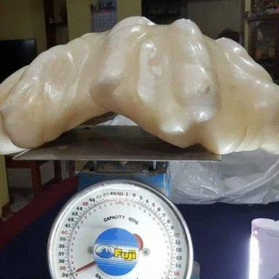 This giant pearl was found ten years ago in the waters of the coast of Palawan Island