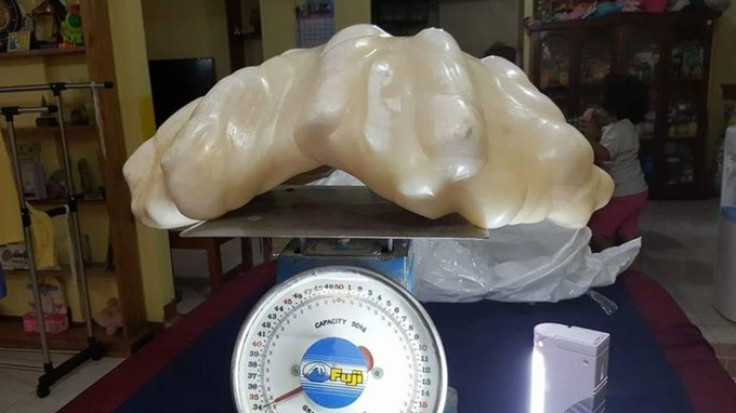 This giant pearl was found ten years ago in the waters of the coast of Palawan Island