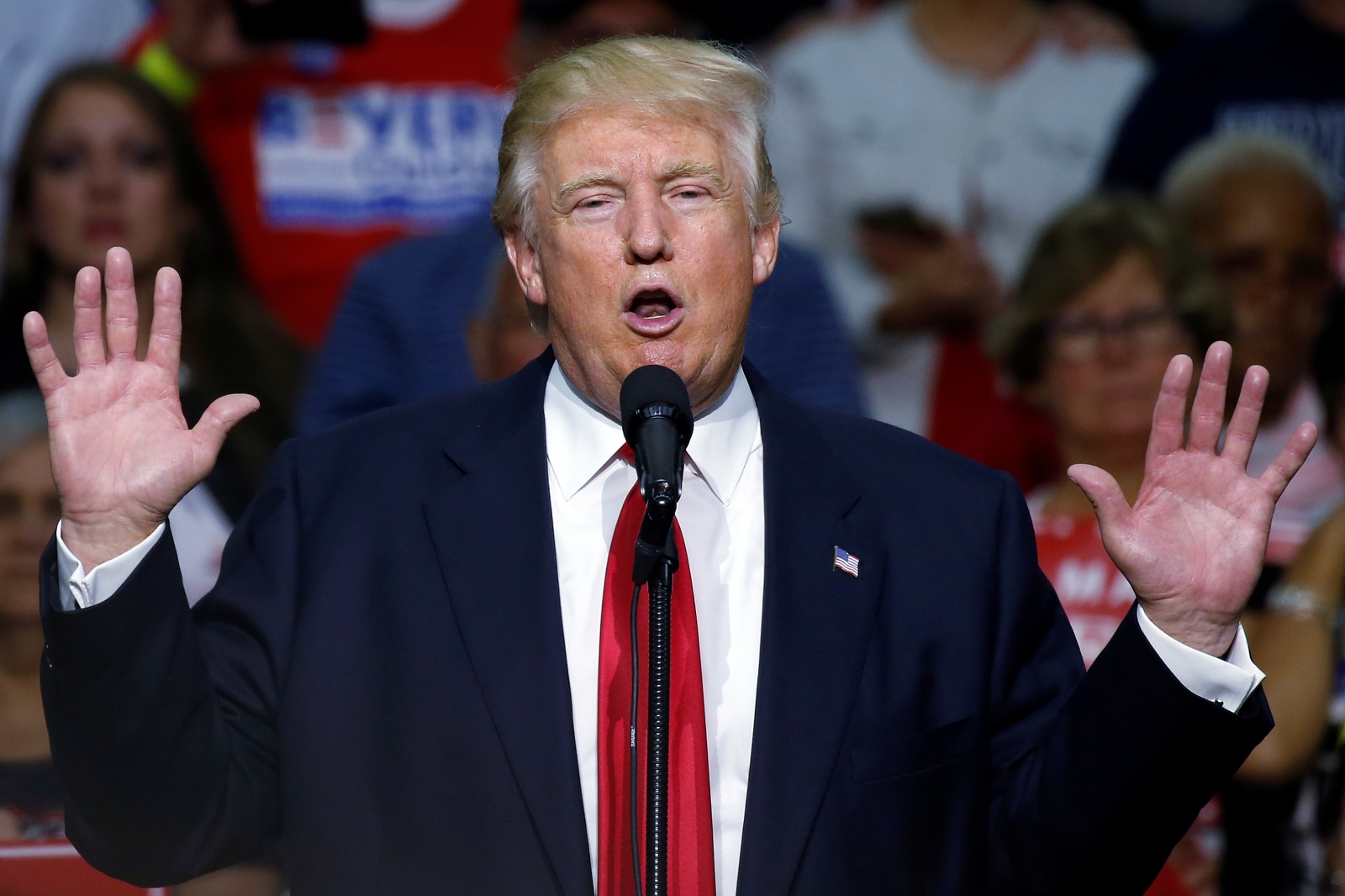 Donald Trump explains that illegal immigrants would have to self-deport first