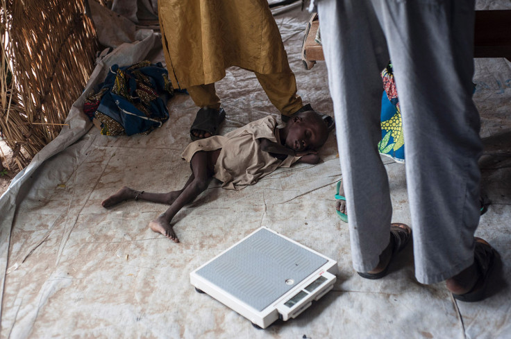 Nigeria Borno malnutrition Lake Chad