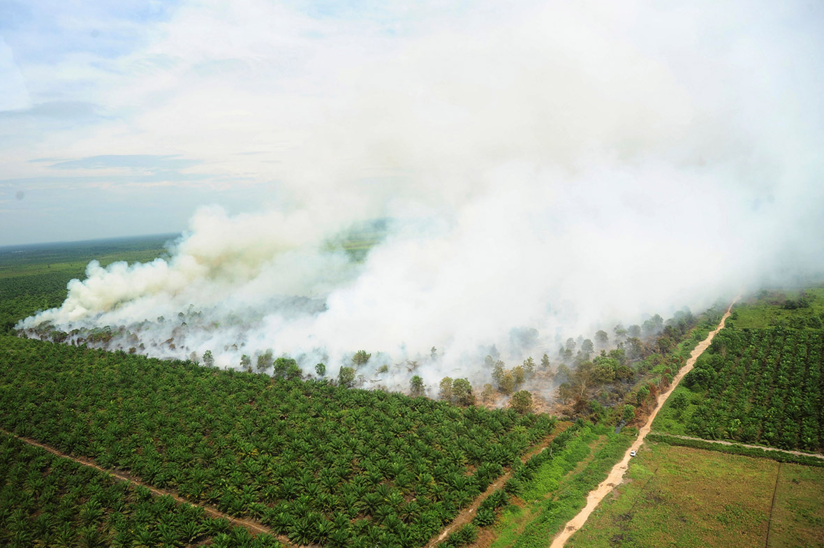 Singapore haze indonesia fires pollution