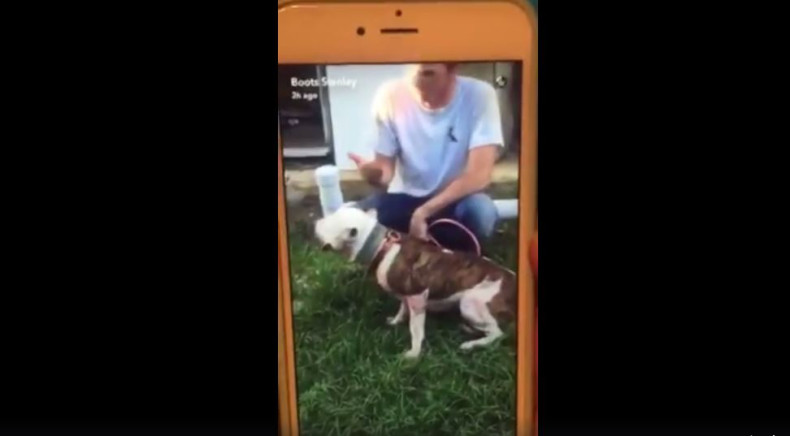 Screenshot dog torture video