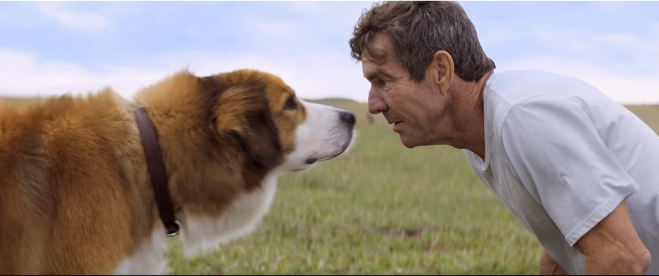 A Dog's Purpose trailer: The Dennis Quaid film answers every canine's