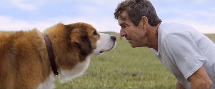 A Dog's Purpose