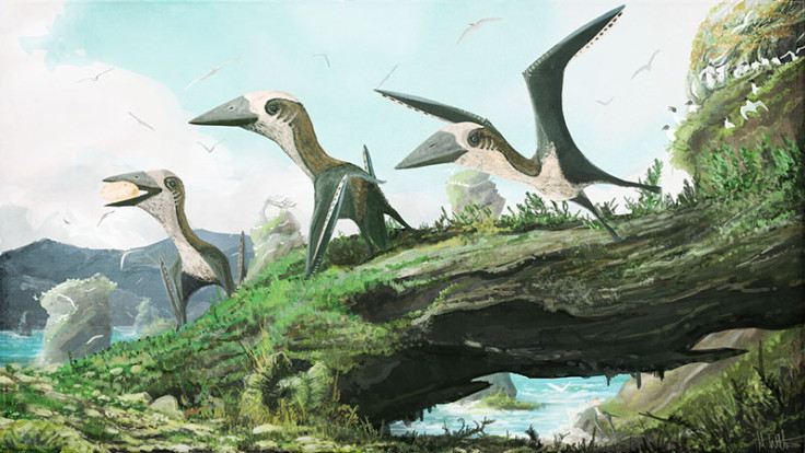 Small-bodied pterosaurs