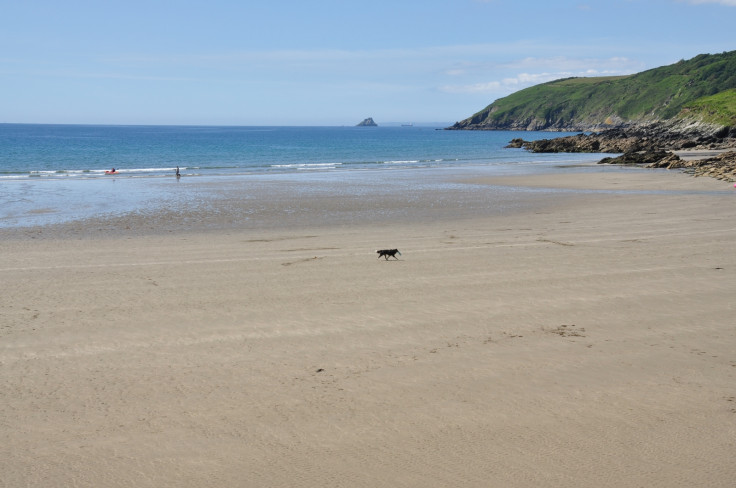 east portholland beach