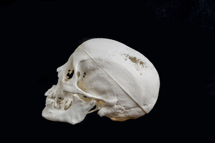 skull egyptian mummy