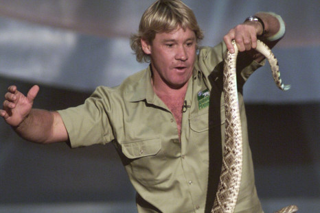 Steve Irwin snake