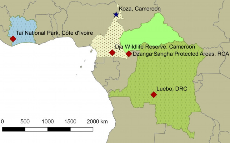 mystery anthrax like disease africa