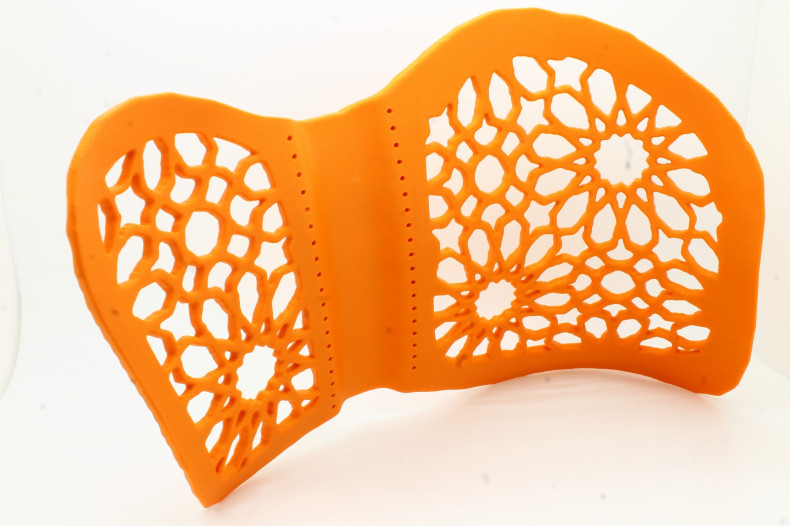 3D printed back brace