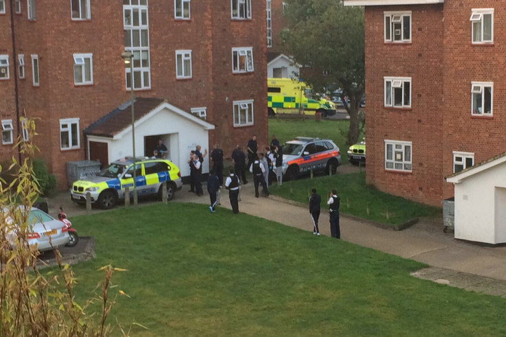 East Finchley shooting