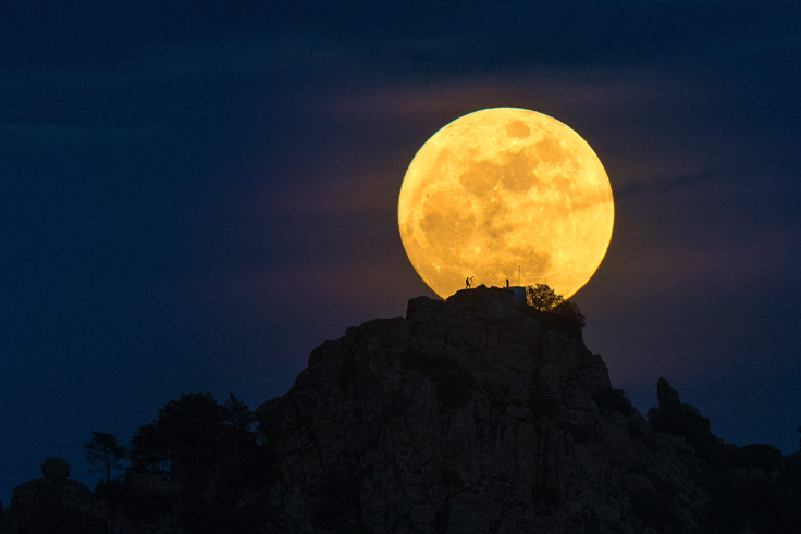 Insight Astronomy Photographer of the Year 2016