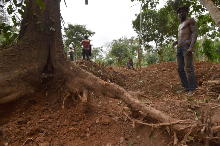 Ivory Coast forests