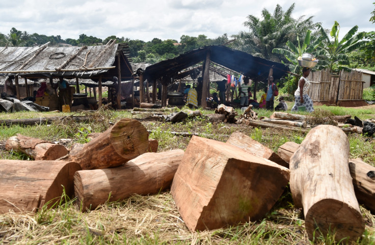 Ivory Coast forests