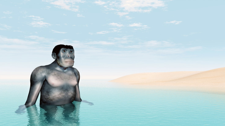 aquatic ape theory