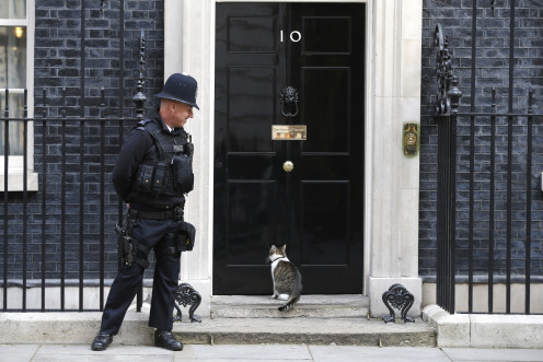 Larry the cat at 10 Downing Street