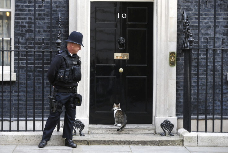 Larry the cat at 10 Downing Street