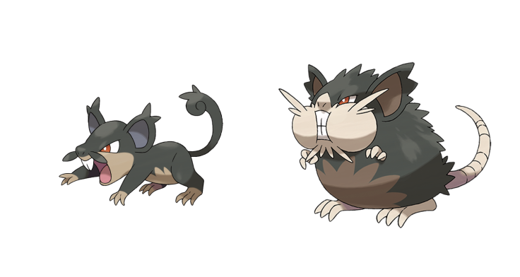 Pokemon Sun Moon Alolan Rattata Raticate