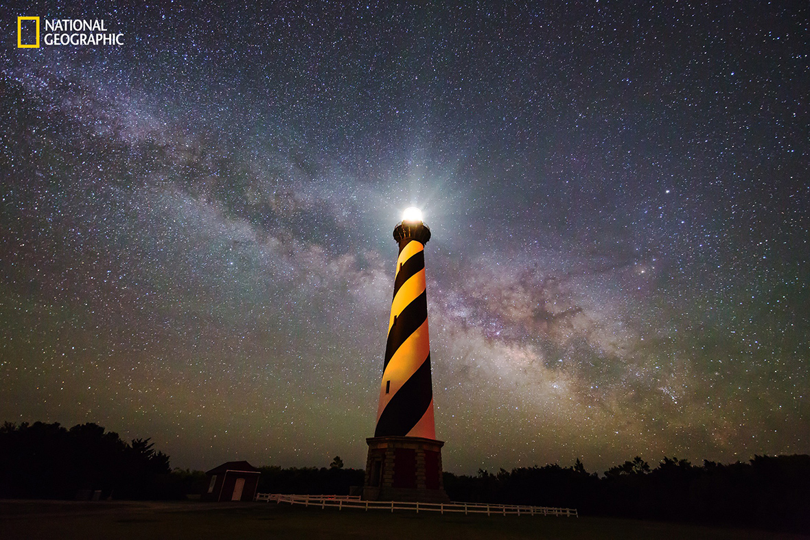 National Geographic Nature Photographer of the Year 