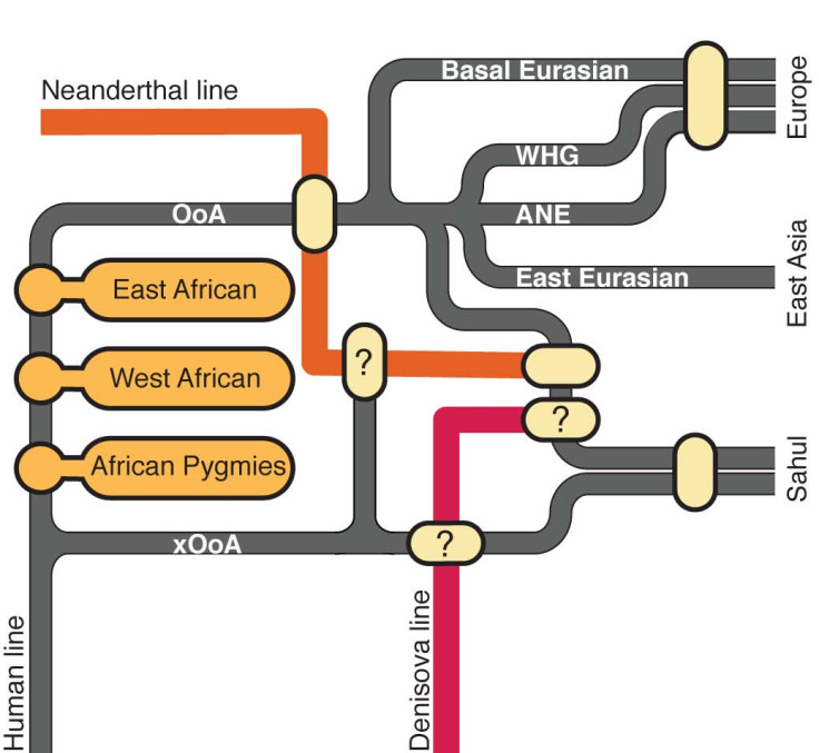 ancient dna humans