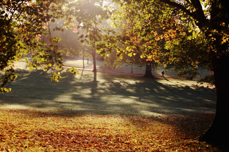 Autumn