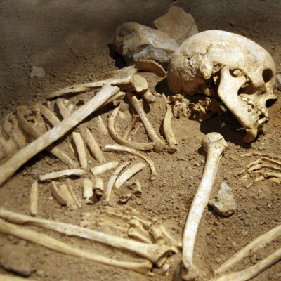 skeleton human remains
