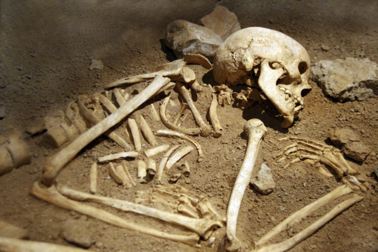 skeleton human remains