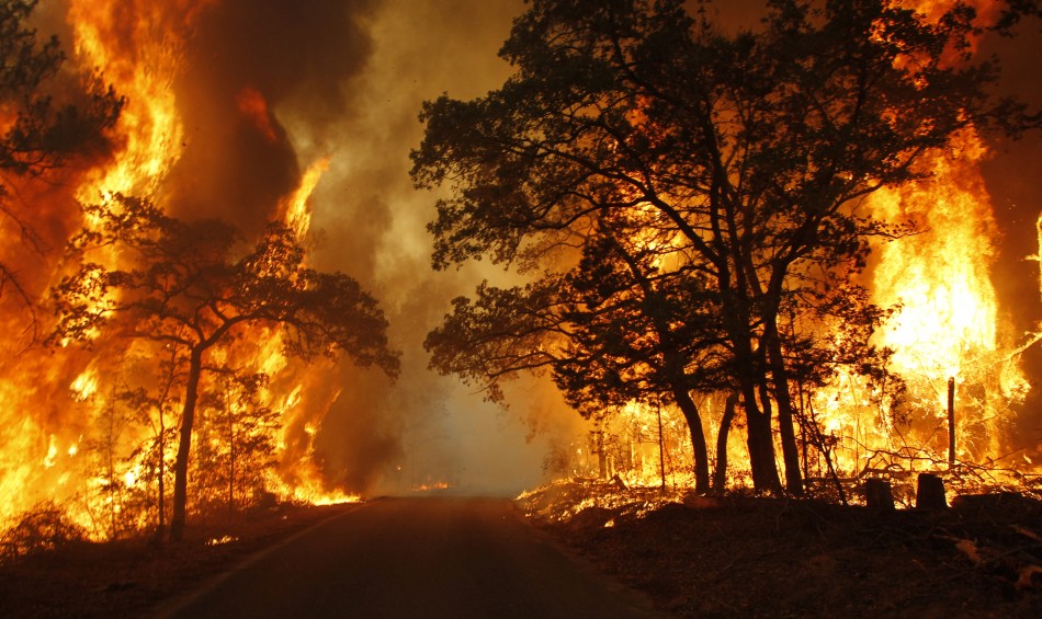 Flames engulf a road near Bastrop State Park as a wildfire burns out of control near Bastrop