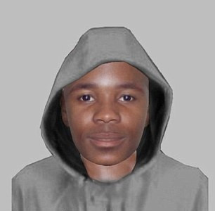 Manhunt for serial sex attacker