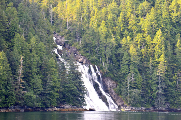 Lizette Falls