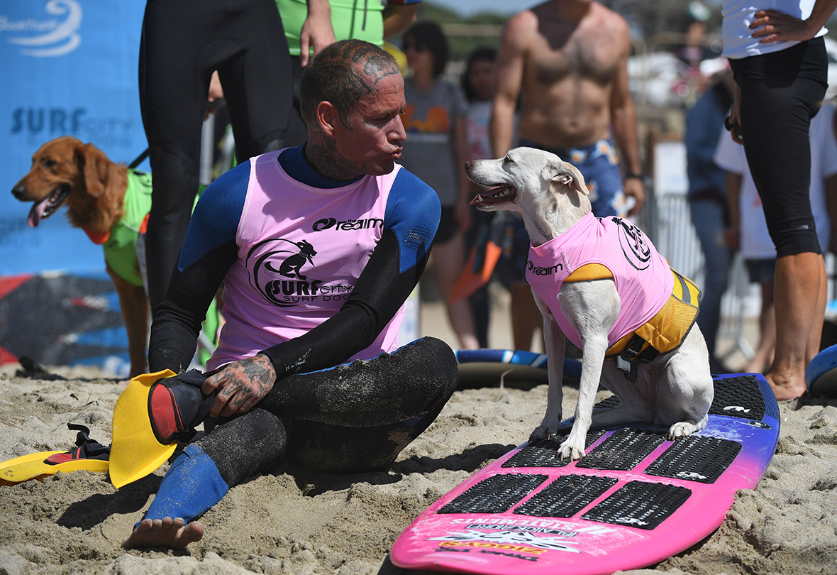 Huntington Beach Surf Dogs