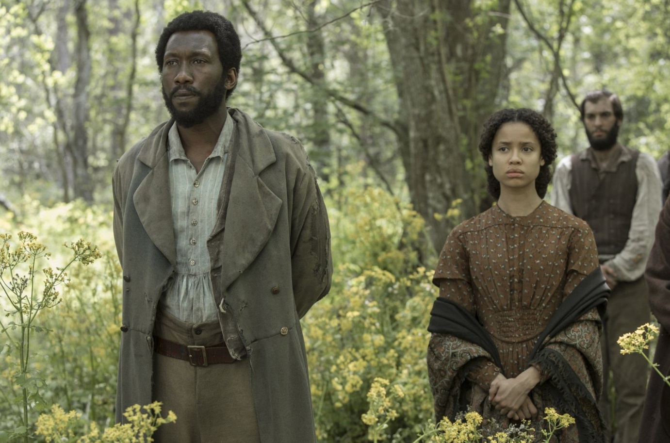 Free State Of Jones review: Matthew McConaughey does his best in bumpy