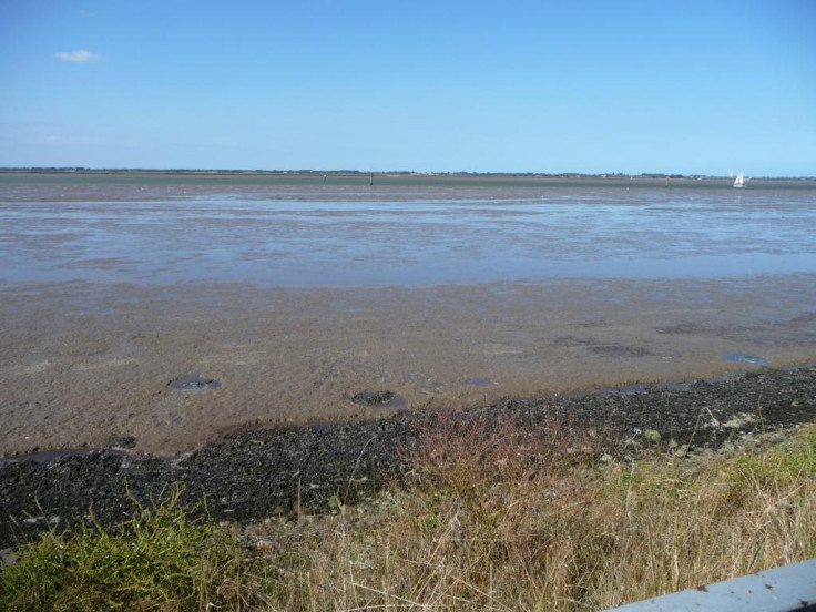 breydon water