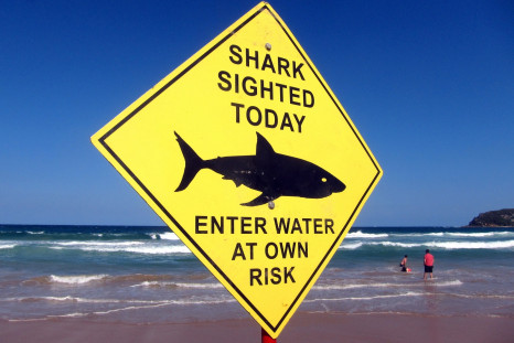 Shark warning Australia