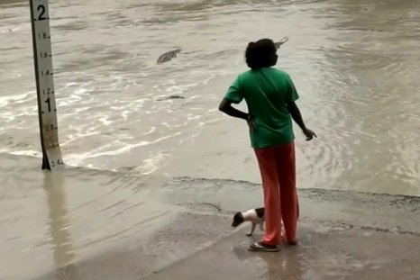 Australian woman confronts deadly crocodile – with a flip flop