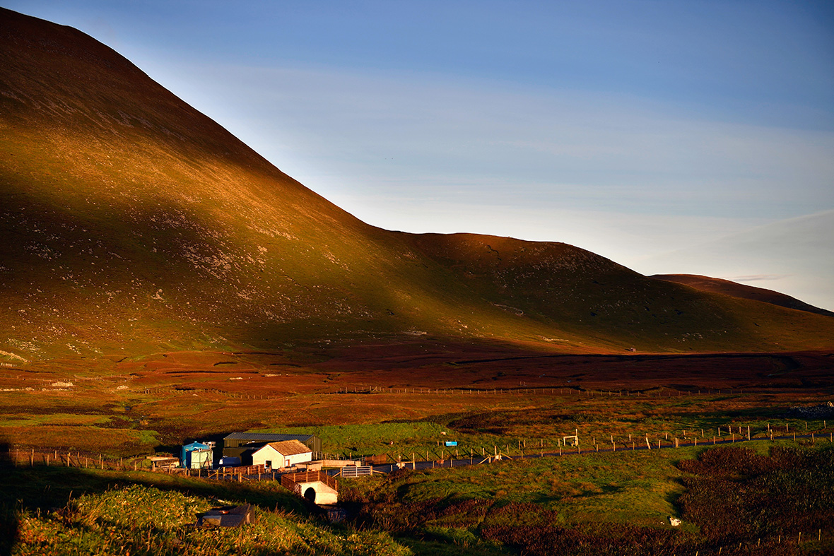 Discover the rugged beauty of the island of Foula in the Shetlands