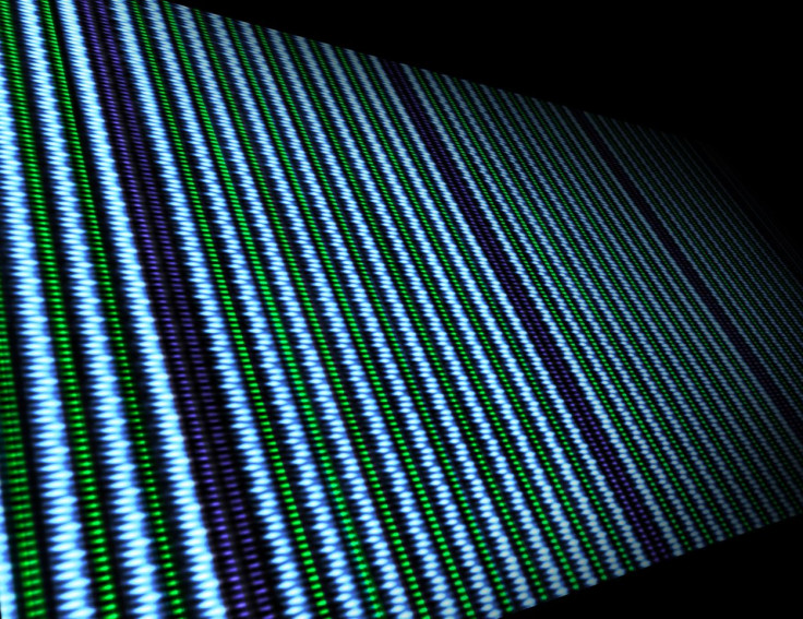 multiferroic computers