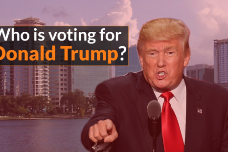 Who is voting for Donald Trump?