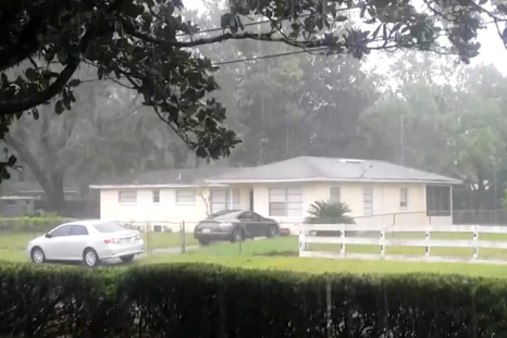 Hurricane Matthew pushes over trees in Florida