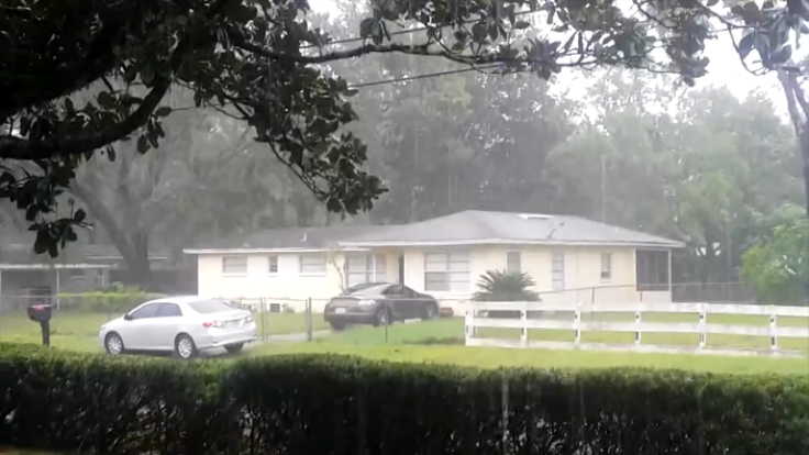 Hurricane Matthew pushes over trees in Florida