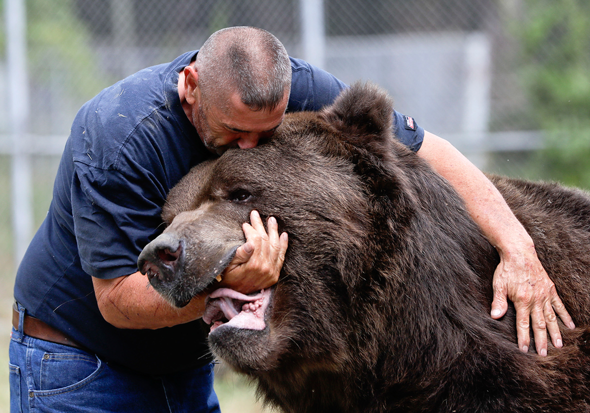 f.The rescued bear embraced the rescuer in a warm hug, strengthening a ...